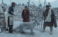 Le Léopard des neiges